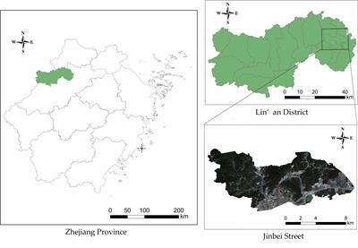 Pine wilt disease detection algorithm based on improved YOLOv5